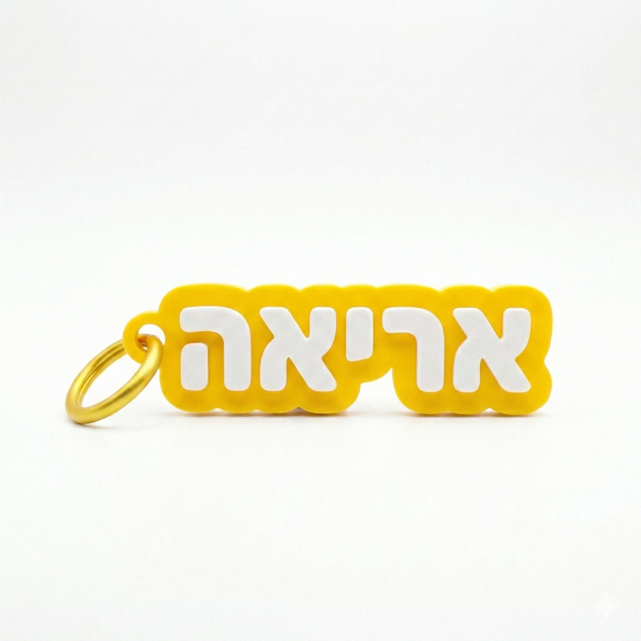 תג שם לתיק